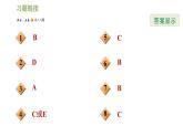 浙教版九年级下册数学课件 第3章 3.4.1几何体的展开图