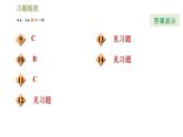 浙教版九年级下册数学课件 第3章 3.4.1几何体的展开图
