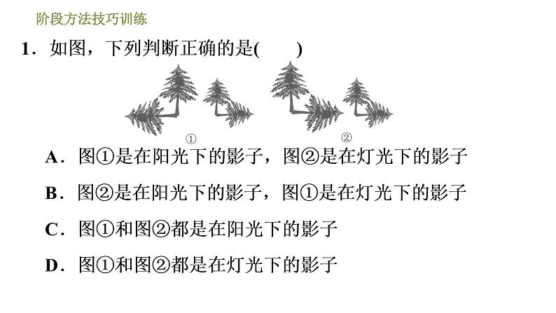 浙教版九年级下册数学课件 第3章 阶段方法技巧训练 专训　平行投影、中心投影的四种常见应用第3页