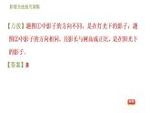 浙教版九年级下册数学课件 第3章 阶段方法技巧训练 专训　平行投影、中心投影的四种常见应用