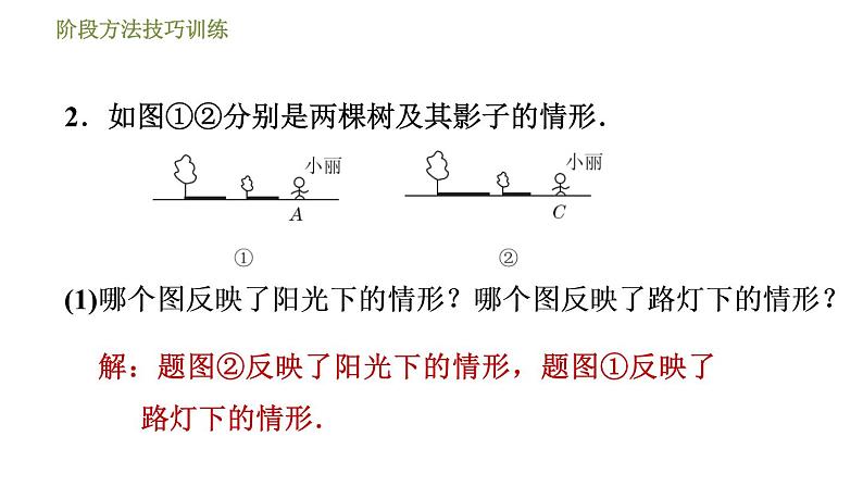 浙教版九年级下册数学课件 第3章 阶段方法技巧训练 专训　平行投影、中心投影的四种常见应用第5页