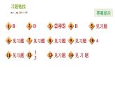 北师版八年级下册数学课件 第5章全章热门考点整合专训
