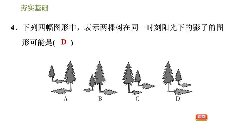 浙教版九年级下册数学 第3章投影与三视图 习题课件07