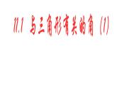 2020-2021学年人教版数学八年级上册11.2.1三角形的内角2课件ppt