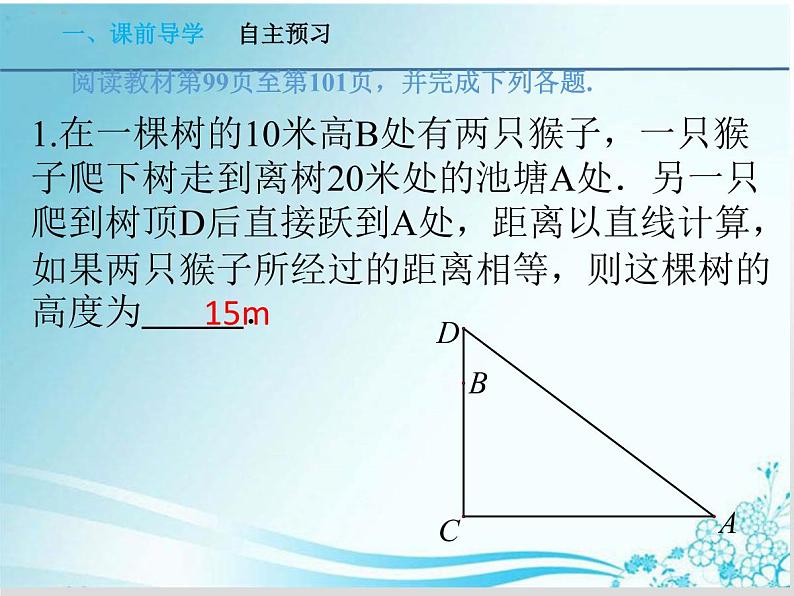 第24章 第1课时 测量-华东师大版九年级数学上册课件03