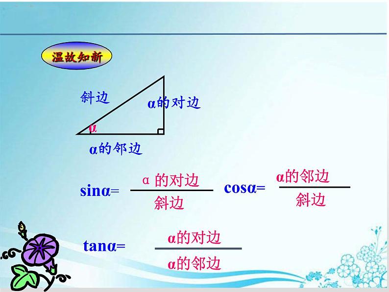 第24章第4课时 24.3.2特殊角的三角函数值-华东师大版九年级数学上册课件02