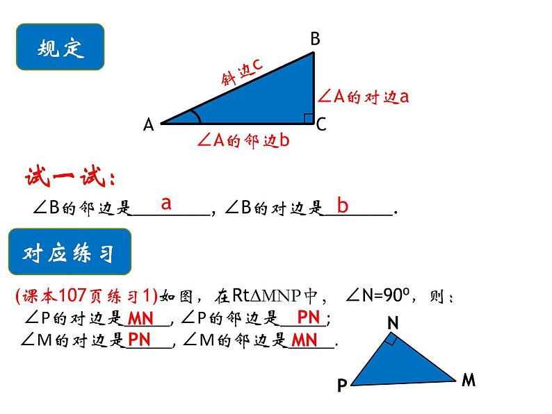 24.3锐角三角函数（1）-华东师大版九年级数学上册课件03