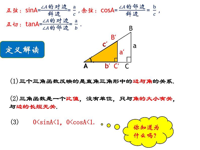 24.3锐角三角函数（1）-华东师大版九年级数学上册课件07