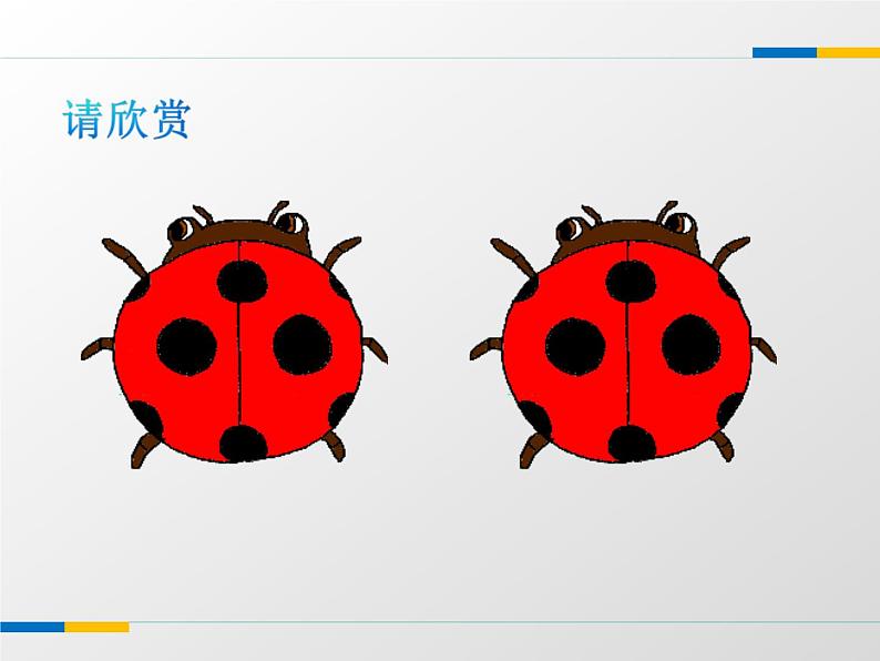 2021年苏科版数学八年级上册1.1《全等图形》课件03