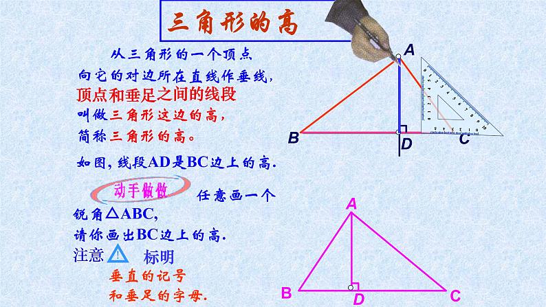 人教版八年级上册数学《11.1.2三角形的高、中线与角平分线》课件第8页