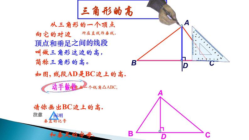 人教版八年级上册数学《三角形的高、中线与角平分线》公开课教学课件第7页