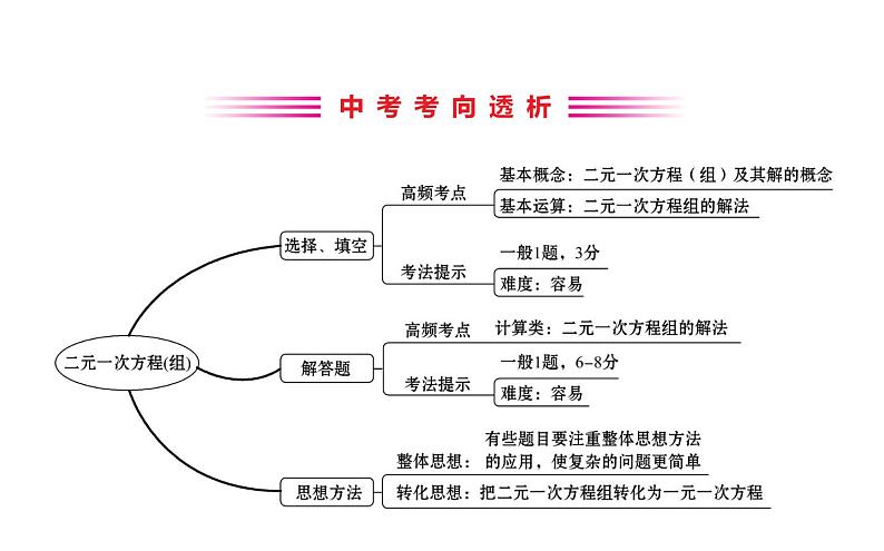 2021-2022学年人教版数学中考专题复习之二元一次方程组课件PPT第2页