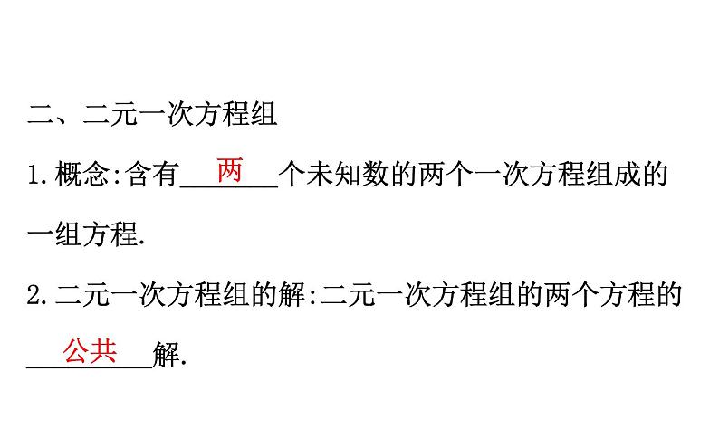 2021-2022学年人教版数学中考专题复习之二元一次方程组课件PPT第5页