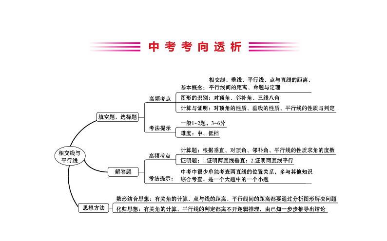 2021-2022学年人教版数学中考专题复习之相交线与平行线课件PPT第2页