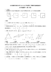 山东省滕州市张汪镇中心中学下学期周末拓展提高练习九年级数学（第5周）