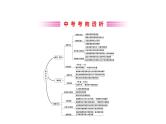 2021-2022学年人教版数学中考专题复习之概率初步课件PPT