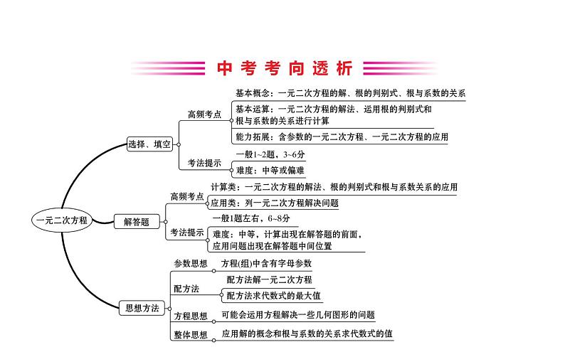 2021-2022学年人教版数学中考专题复习之一元二次方程课件PPT第2页