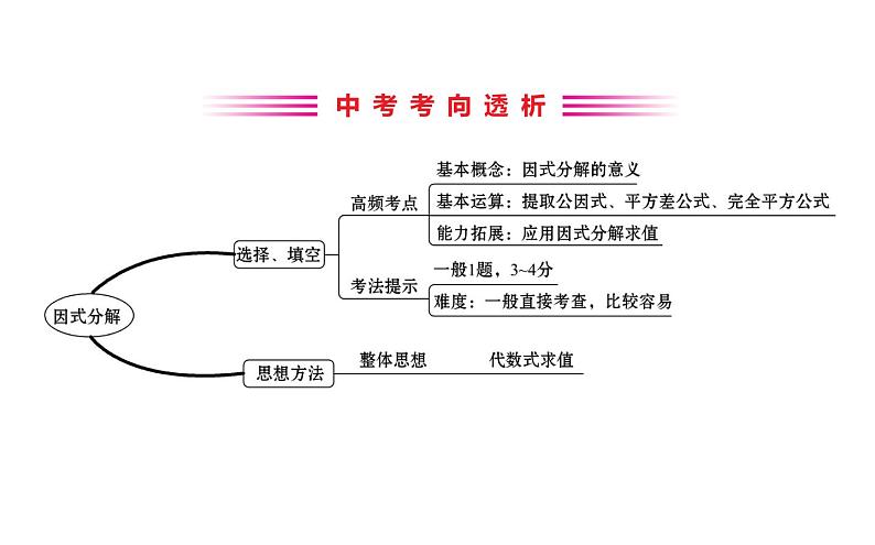 2021-2022学年人教版数学中考专题复习之因式分解课件PPT第2页