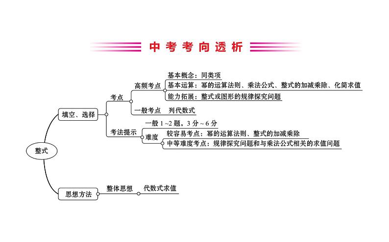 2021-2022学年人教版数学中考专题复习之整式课件PPT02