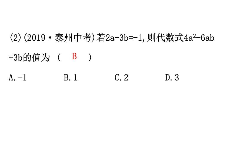 2021-2022学年人教版数学中考专题复习之整式课件PPT08