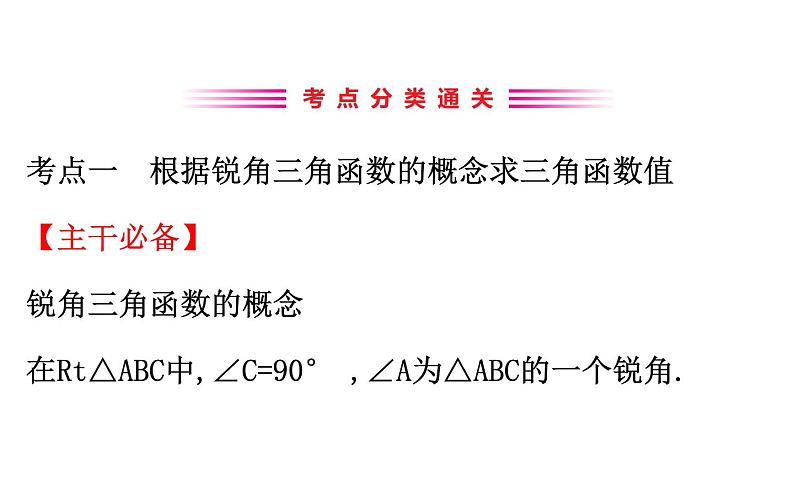 2021-2022学年人教版数学中考专题复习之锐角三角函数课件PPT第3页