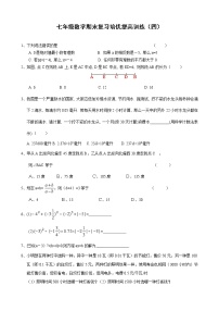 七年级数学期末复习培优提高训练(四)及答案