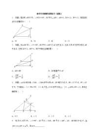 专题01 角平分线模型巩固练习（提优）-2022年中考几何专项复习