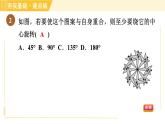 鲁教版八年级上册数学习题课件 第4章 4.4图形变化的简单应用