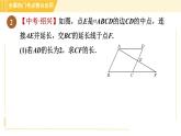 鲁教版八年级上册数学习题课件 第5章 全章热门考点整合应用　