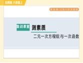 北师版八年级上册数学习题课件 第5章 集训课堂 测素质 二元一次方程(组)与一次函数