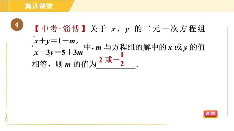 北师版八年级上册数学习题课件 第5章 集训课堂 练素养 二元一次方程(组)的解的六种常见应用08