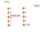 华师版七年级上册数学习题课件 第4章 4.1  生活中的立体图形