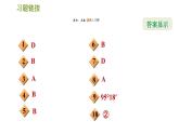 華師版七年級上冊數(shù)學(xué)習(xí)題課件 第4章 階段綜合訓(xùn)練 【范圍：4.5～4.6】