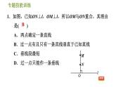 华师版七年级上册数学习题课件 第5章 专题技能训练(七)  训练1　垂线相关性质的应用