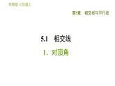 华师版七年级上册数学习题课件 第5章 5.1.1  对顶角