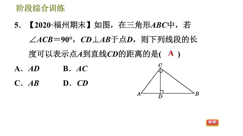 华师版七年级上册数学习题课件 第5章 阶段综合训练 【范围：5.1】08