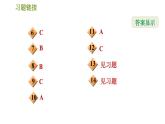 華師版七年級上冊數(shù)學(xué)習(xí)題課件 第4章 4.2.1  由立體圖形到視圖