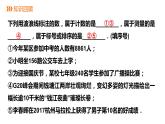 1.1.2从自然数到有理数---同步课件  2021-2022学年浙教版数学七年级上册