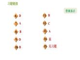 華師版七年級上冊數(shù)學(xué)習(xí)題課件 第4章 4.3　立體圖形的表面展開圖