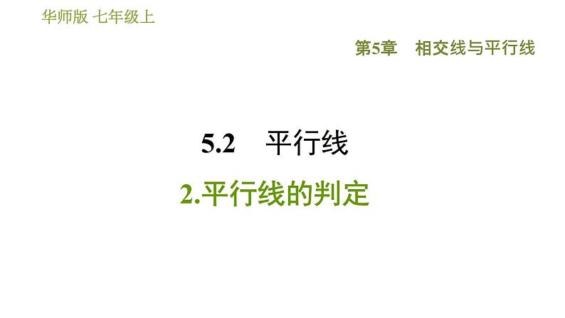 华师版七年级上册数学 第5章 习题课件01