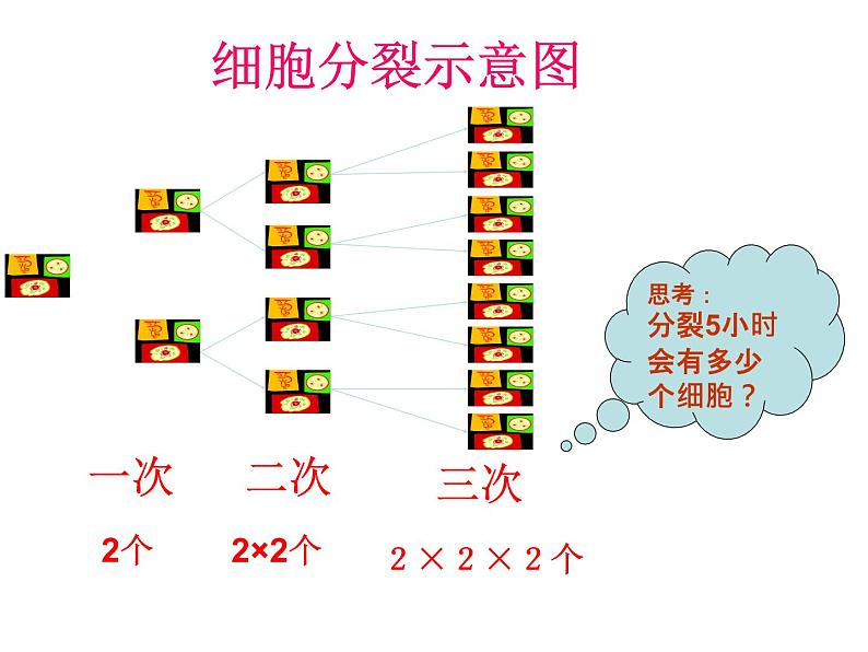 _ 2.9.1乘方的意义 课件  2021—2022学年北师大版数学七年级上册第4页