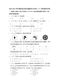 2020-2021学年湖南省岳阳市临湘市七年级（下）期末数学试卷