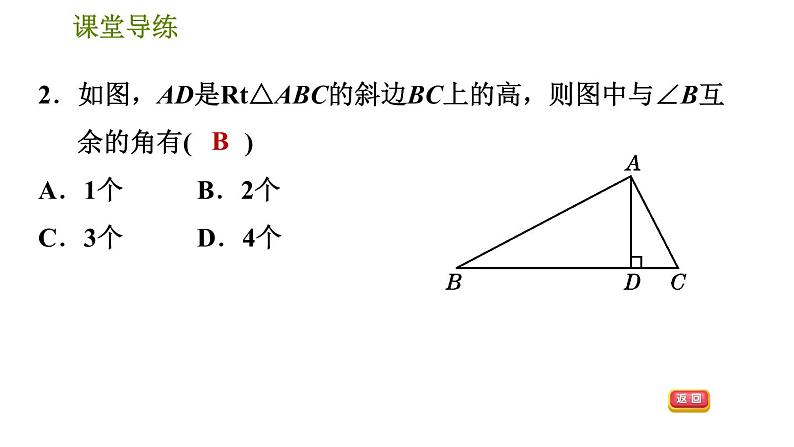 北师版八年级上册数学习题课件 第7章 7.5.2  三角形的内角——直角三角形两锐角互余第4页