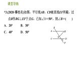 北师版八年级上册数学习题课件 第7章 7.5.2  三角形的内角——直角三角形两锐角互余