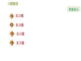 北师版八年级上册数学习题课件 第5章 5.2.2  加减消元法