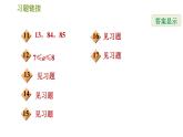 北師版八年級上冊數(shù)學(xué)習(xí)題課件 期末提分練案 1.1  考點梳理與達標訓(xùn)練