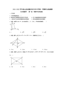 北师大版九年级上册第一章 特殊平行四边形综合与测试课时练习