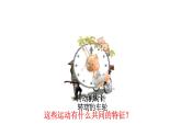 人教版九年级数学上册《图形的旋转》课件2