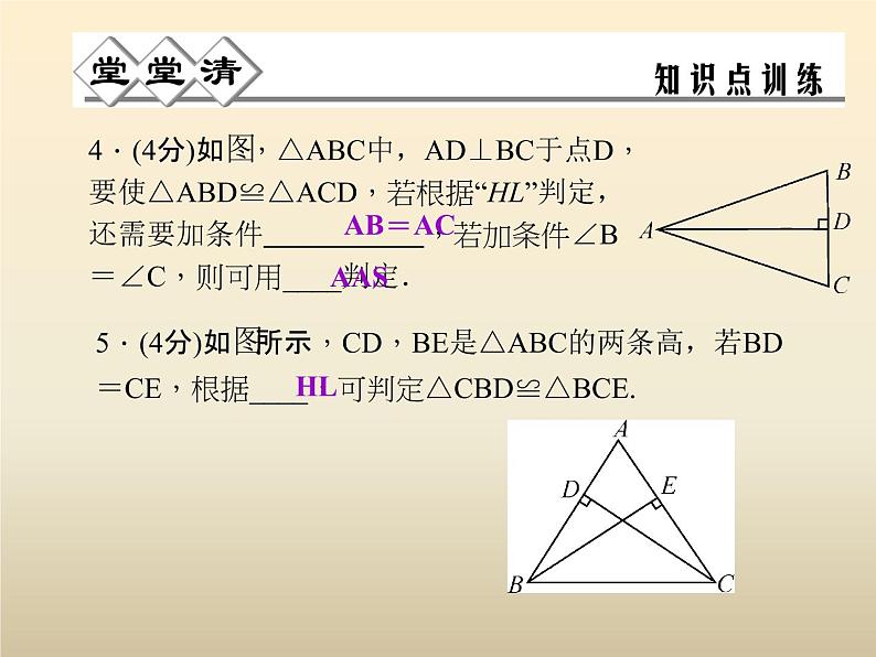 2021年浙教版八年级数学上册 2.8《 直角三角形全等的判定》课件 (含答案)04