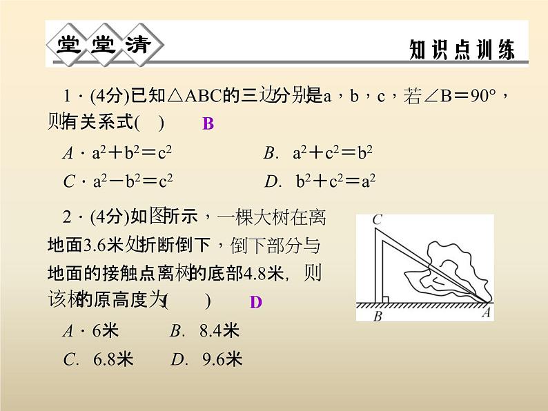 2021年浙教版八年级数学上册 2.7《 探索勾股定理（第1课时）》课件 (含答案)03